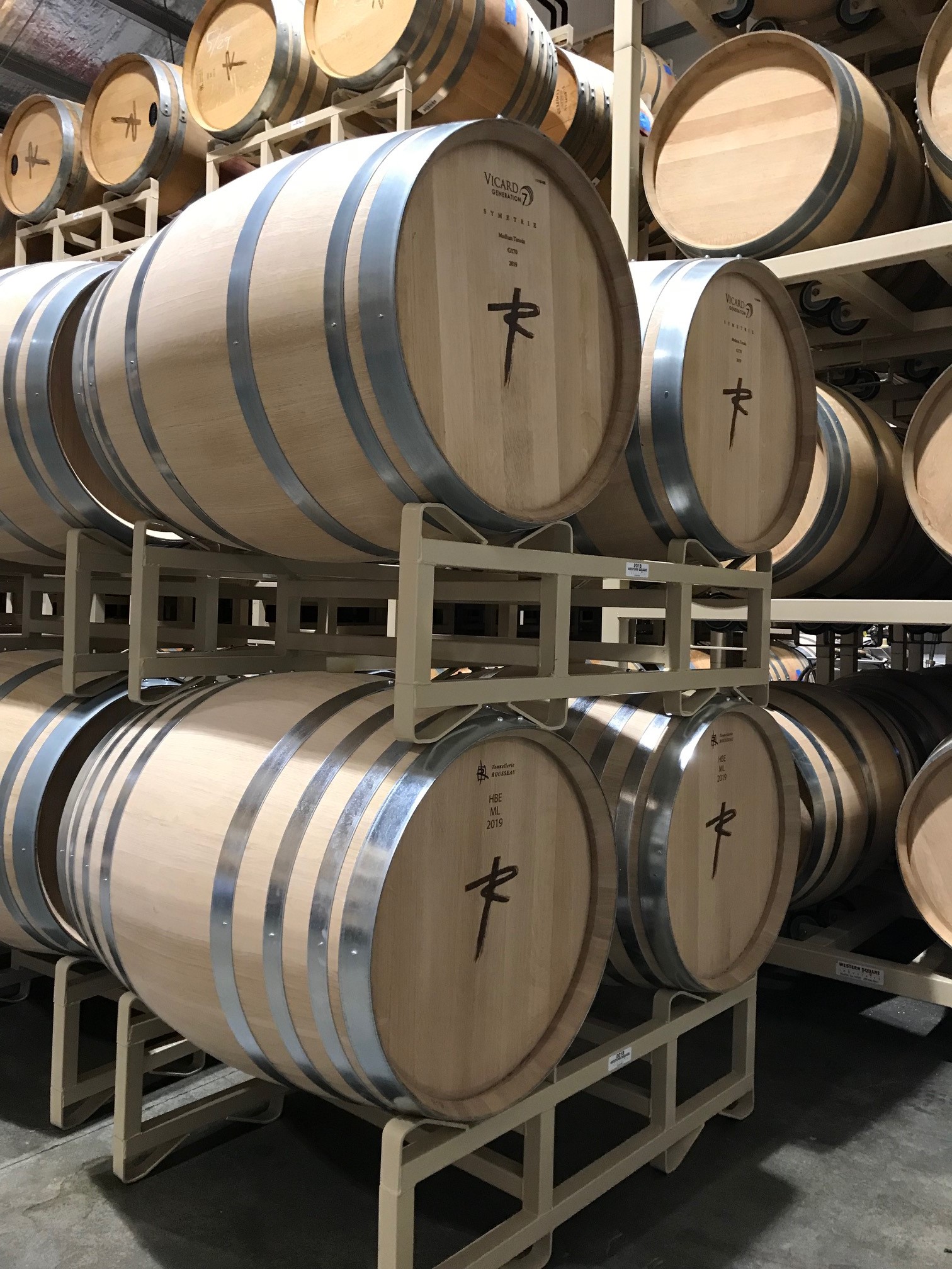 New Barrels Awaiting Young Wine