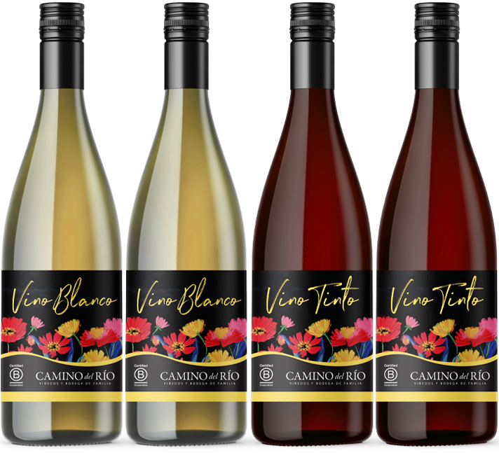 Camino del Rio